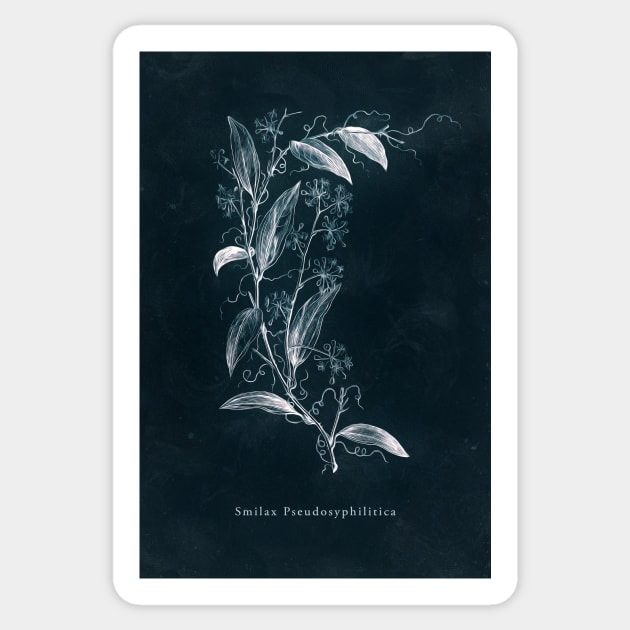 Cyanotype - Smilax Pseudosyphilitica Sticker by PixelHunter